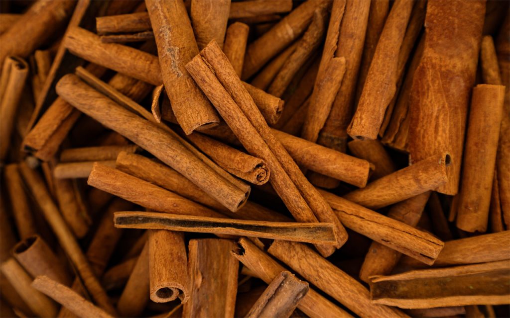 Bitterstoffe_Zimt (Cassia)